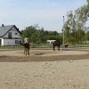 Babie Lato 2016